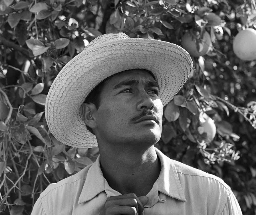 Hispanic immigrant