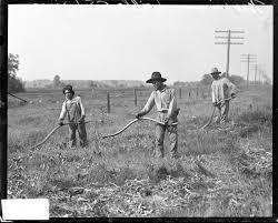 Immigrant farmers tilling the land