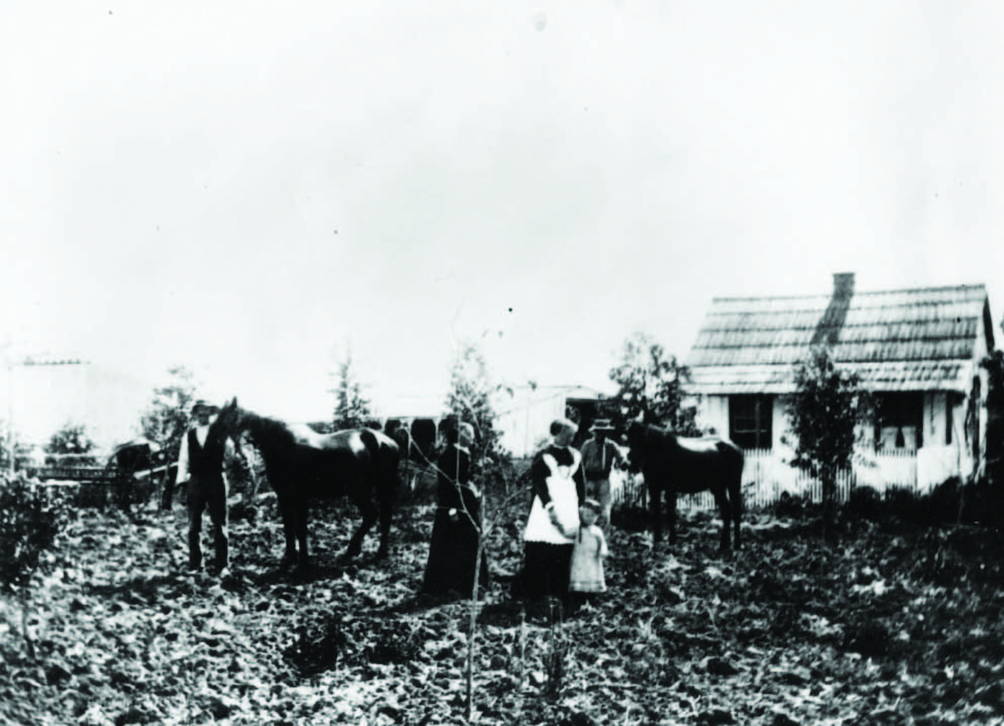 Family tending to their farmland